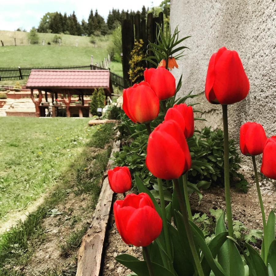 Apartman Jedlicka Telgárt Exterior foto